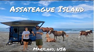 Camping On An Island With Wild Horses!