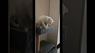 Можно я с тобой