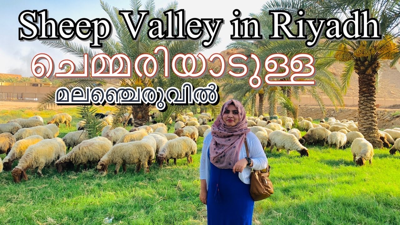 Summer spot  in Riyadh| Sheep valley| Dates Farm | Hidden Cave | 4K | HD 2021 Places to visit