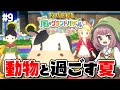 【牧場物語】ビンゴにペットに品評会!大忙しの夏、到来【Let's!風のグランドバザール】