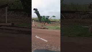 agro não para. #terraplanagem #retroescavadeira #caminhão #bobcat#transporte