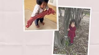 2026 April Hanami in Showa Kinen park and strawberry picking