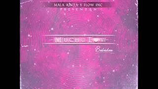 Malandro - Mucho lov! (Mixtape Long version) Flow inc