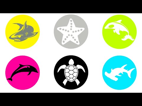 Sea creatures Shark, Orca Whale, Hammerhead Shark, Dolphins, Turtle, Star Fish
