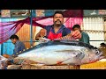 Kasimedu  speed selvam  32 kg giant yellow fin tuna fish cutting  in kasimedu  ff cutting