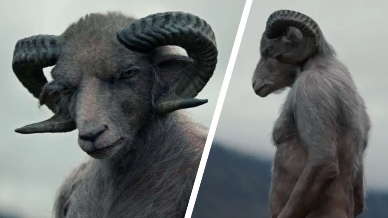 الكبش المرعب في عيد الإضحى !