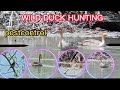 Kahilig mix tv pestcontrol wild duck hunting