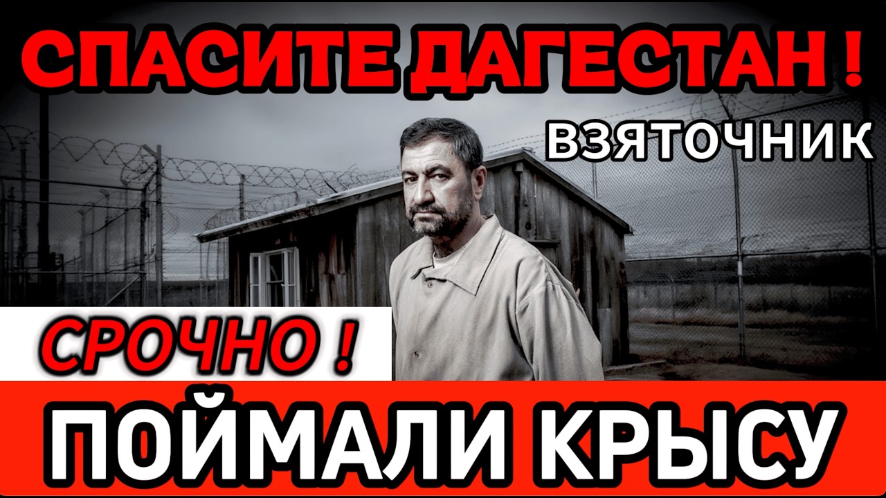 ДАГЕСТАНСКИЙ КОРОЛЬ ВЗЯТОК! Обыск превратился в шок-шоу: чемоданы налички, золотые слитки  !