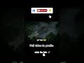 The sound of a clawed creature in the forest