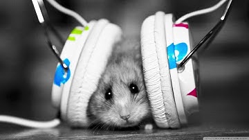 New Metal Tone. (Shreddage 3 Hydra - Umansky Bass - Damage)