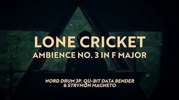 NORD DRUM 3P, QU-BIT DATA BENDER, AND STRYMON MAGNETO - 24 MINUTE IDM AMBIENT GLTICH MEDITATION