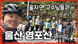 염포산 영상