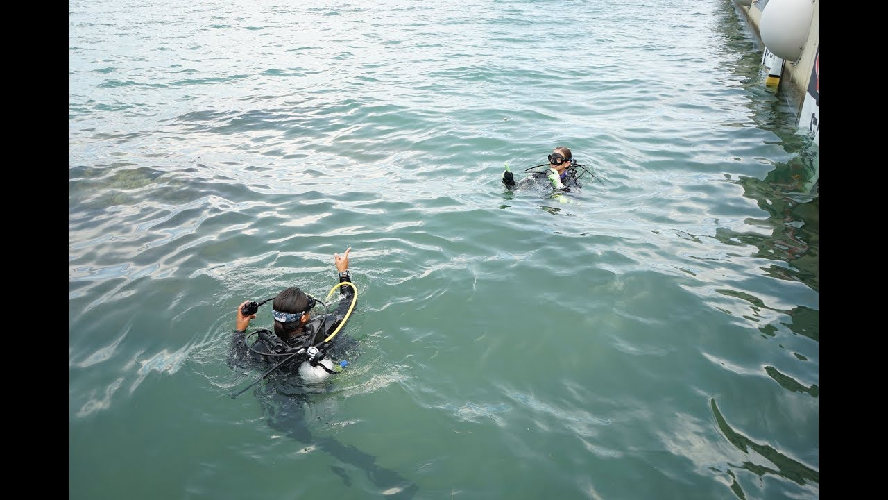 World Oceans Day at Frost Science