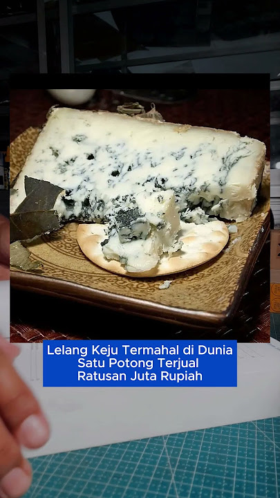 Lelang Keju Termahal di Dunia Satu Potong Terjual Ratusan Juta #trendingshorts #viral2025 #unik