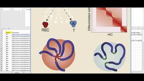 Excel VBA parsing txt and jpg