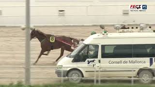 Vidéo de la course PMU PREMI HIPICAS CA'N BLANQUET