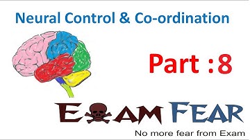 Biology Neural Control & Coordination part 8 (Uni, Bi, multipolar Neurons) CBSE class 11 XI