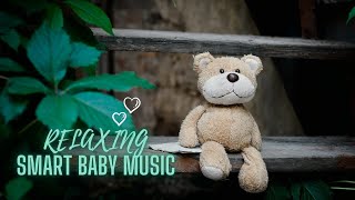 Smart Baby Music for Brain Development Relaxing Baby Sleep Music