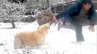 original folk/fusion song "LONG COLD HARD WINTER DAYS"