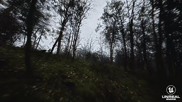 The Dark Forest Enhanced Unreal Engine 5.5.1  Lumen Quixel