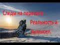 Часть 1 . Вторая серия.  Следы на перевале Дятлова . Мифы и реальность .