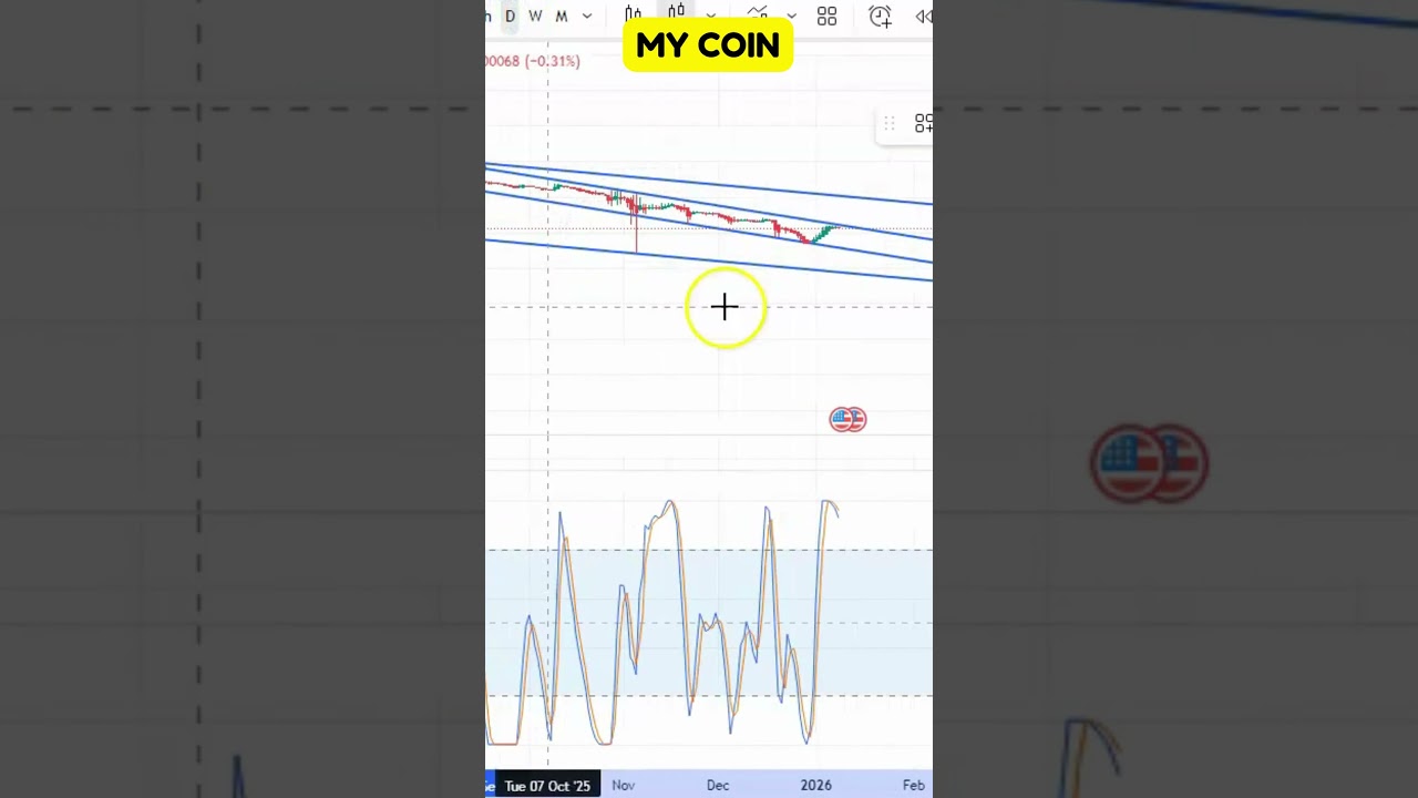 MY Coin Deep Dive | Project Breakdown !