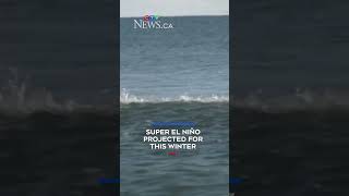 Super El Niño projected for this winter