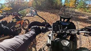 Into The Wild On Two Wheels 12.10.2025