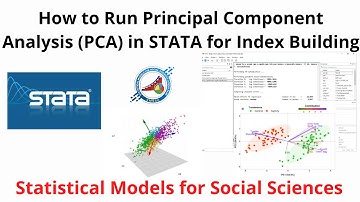 Implementation of Principal Component Analysis (PCA) in STATA for Index Building