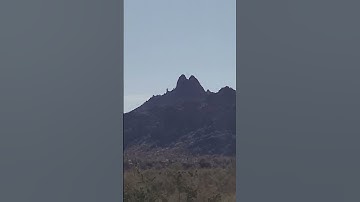 Giant Walking Up Camel Mountain Captured On Video!!