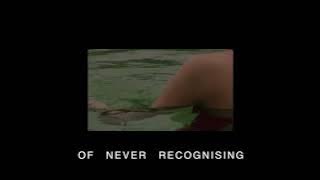 lilo - Settled (Official Visualiser)