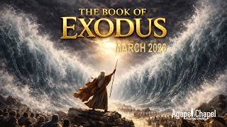 EXODUS | Sunday Mornings @ 8:30 AM PST