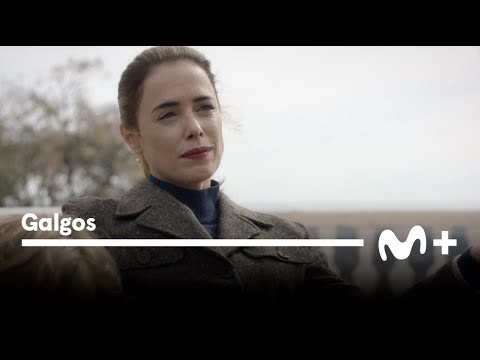 Galgos: Tráiler Oficial | Movistar Plus+