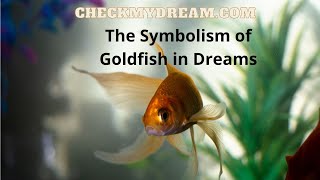 The Symbolism of Goldfish in Dreams