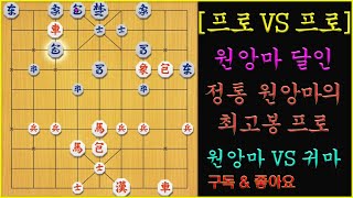 [프로 VS 프로] 정통 원앙마의 달인 프로사범님을 만났습니다..(풀버젼) 장기 screenshot 5