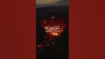 سورة التين ~ الشيخ رعد الكردي