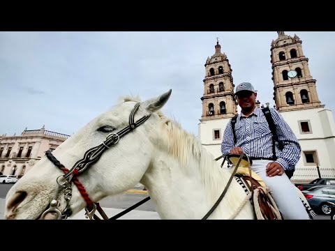 DGO: El caballo Diamante y su jinete Felipe reparten pedidos a domicilio en la capital de Durango