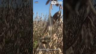 Iowa State Senate passes the Iowa Farm Act