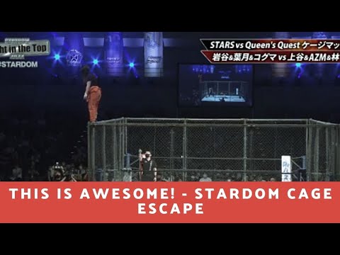This is Awesome: Stardom Cage Escape