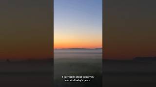 Daily Needs &amp; Provision