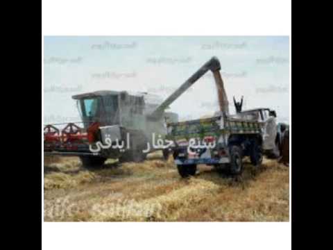 سبع جفار ايدقي