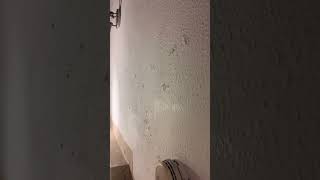 IMG 3646