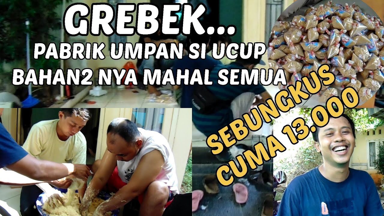 PROSES PEMBUATAN UMPAN SI UCUP DAN RACIKAN MEWAH || SAMPAI PROSES PACKING