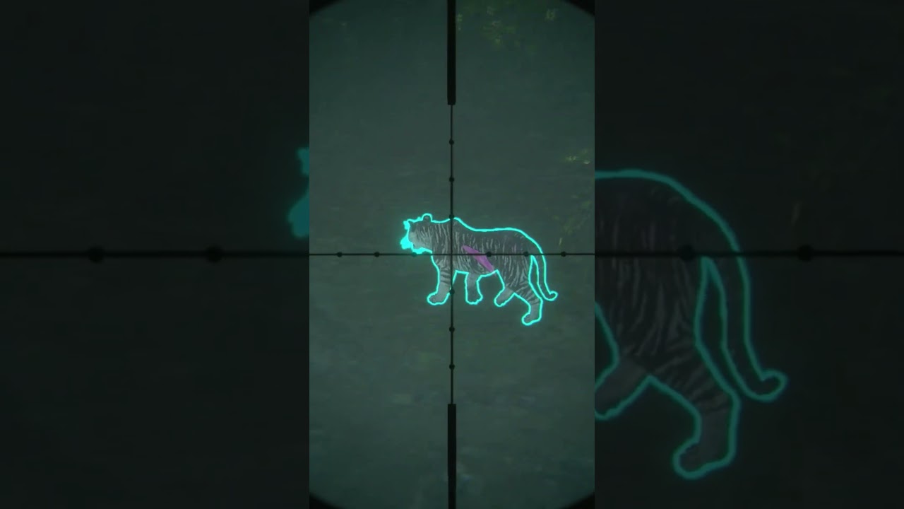 I Found a RARE TIGER! 