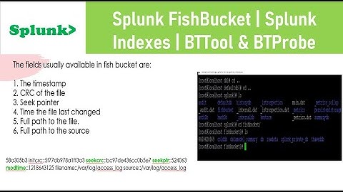 You must have heard about Hot, Warm, Cold, frozen buckets in splunk. How about Fishbuckets?