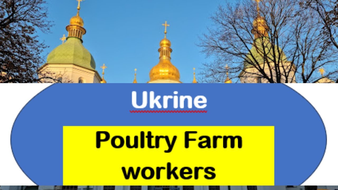 UKRAINE EMPLOYMENT OPPORTUNITIES POULTRY FARM WORKERS WANTED IN LARGE NUMBERS - VISA FAST PROCESS