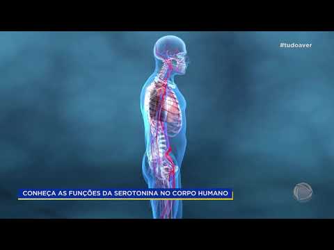 Vídeo: Qual A Responsabilidade Da Serotonina