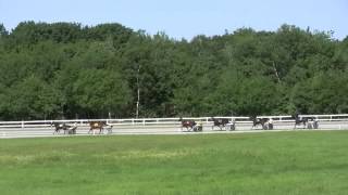 Northside Downs July 19, 2014 Races 7-11