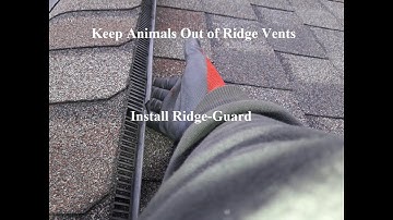 Ridge-Guard Review | Keep Nuisance Animals out of Ridge Vents | Bats, Squirrels, Raccoons, Birds