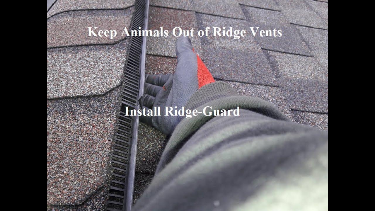 RidgeGuard for Ridge Vents Review of a Great Product